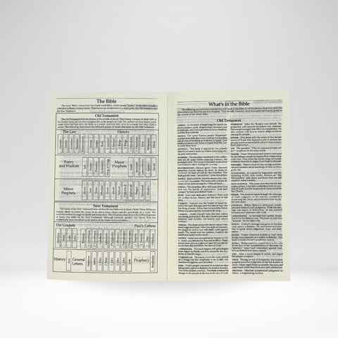 CEV 'Word of Welcome' Bible