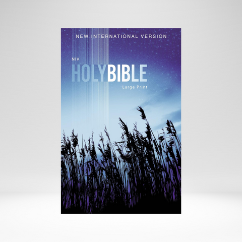 NIV(2011) Bible, Outreach Large Print Edition