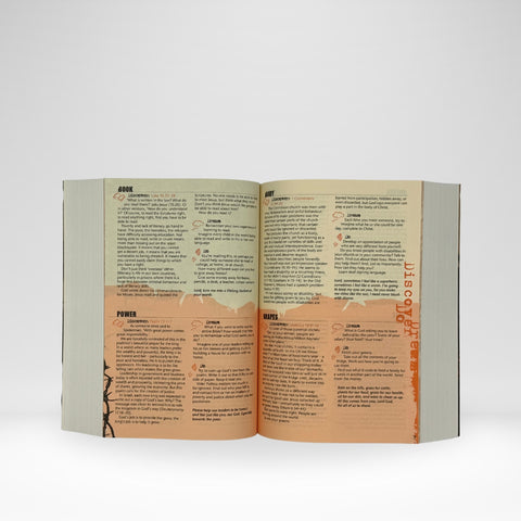 NRSV Poverty and Justice Catholic Bible