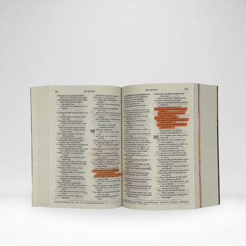 NRSV Poverty and Justice Catholic Bible