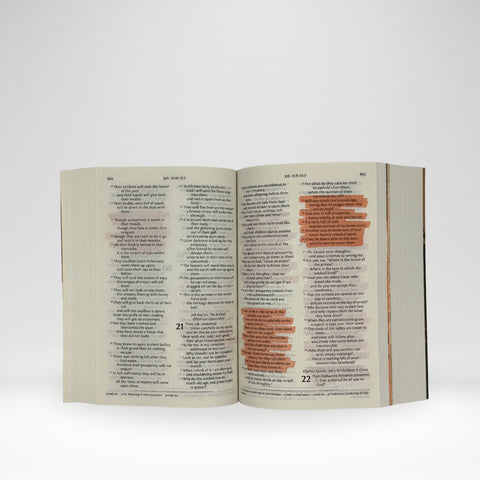 NRSV Poverty and Justice Catholic Bible