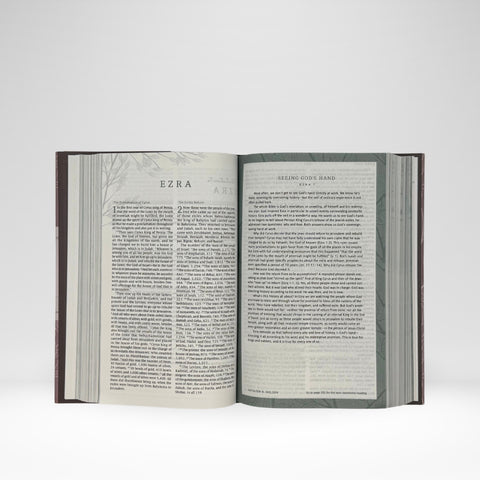 ESV Women's Devotional Bible