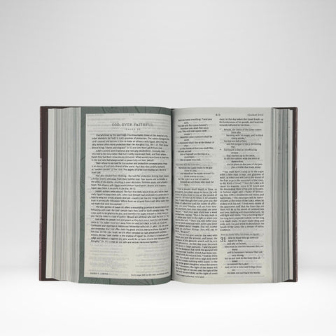 ESV Women's Devotional Bible