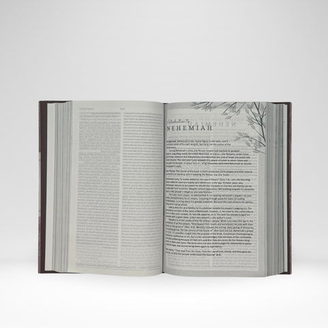 ESV Women's Devotional Bible