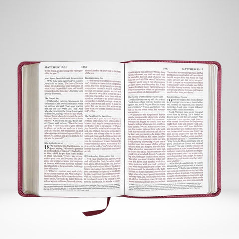 ESV Bible, Large Print, Compact Edition