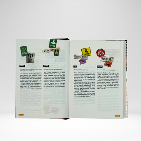 ESV Youth Bible
