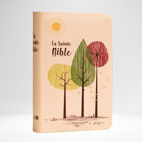 Bible Louis Segond 1910 édition moderne