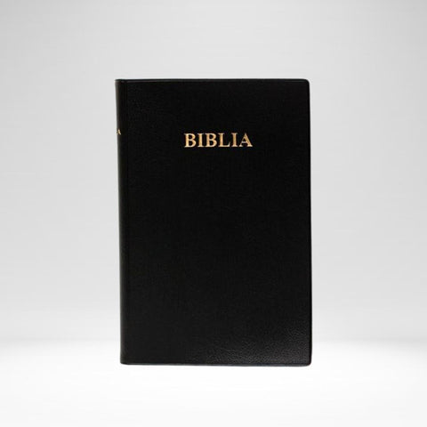 Swahili Bible