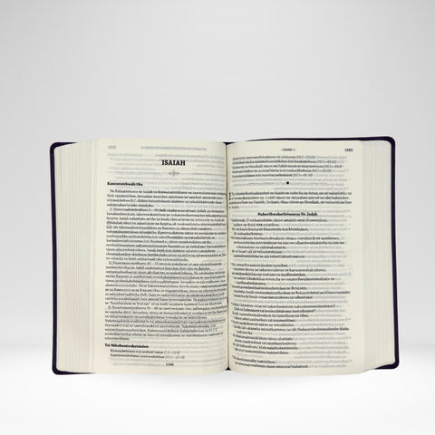 Mohawk Bible