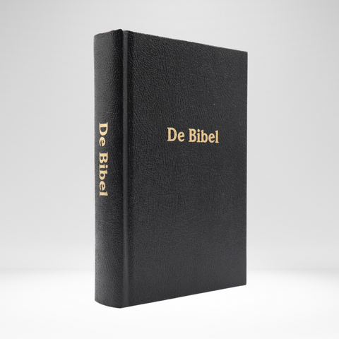 Plautdietsch Bible
