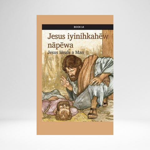 Cree West (Plains Contemporary) - Mission: Literacy! Book 14: Jesus Heals a Man EPUB