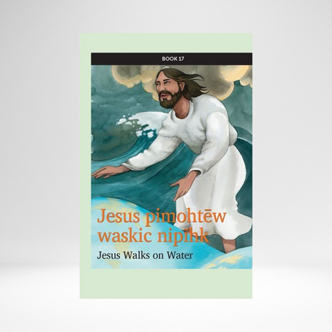 Cree West (Plains Contemporary) - Mission: Literacy! Book 17: Jesus Walks on Water EPUB
