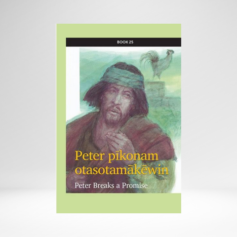 Cree West (Plains Contemporary) - Mission: Literacy! Book 25: Peter Breaks a Promise EPUB