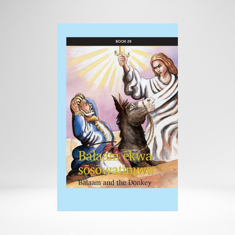 Cree West (Plains Contemporary) - Mission: Literacy! Book 29: Balaam and the Donkey  EPUB