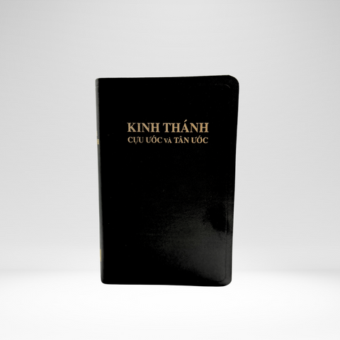 Vietnamese Bible (1925)