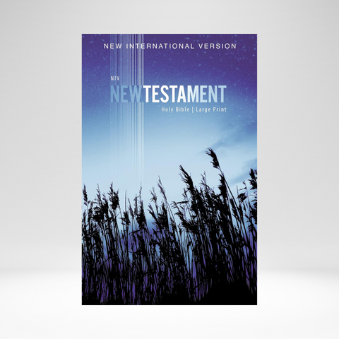 NIV (2011) New Testament, Outreach, Large Print Edition