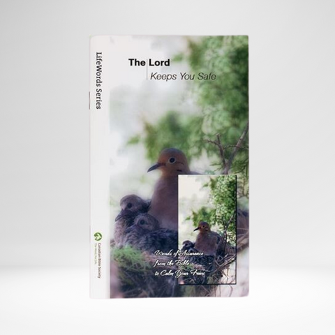 The Lord Keeps You Safe EPUB - LifeWords Series