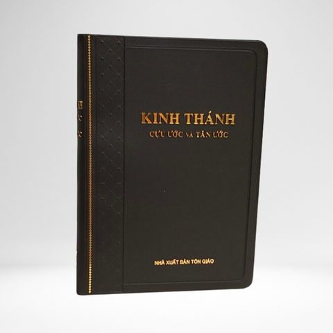 Vietnamese Bible (1926: 1998 Typesetting)