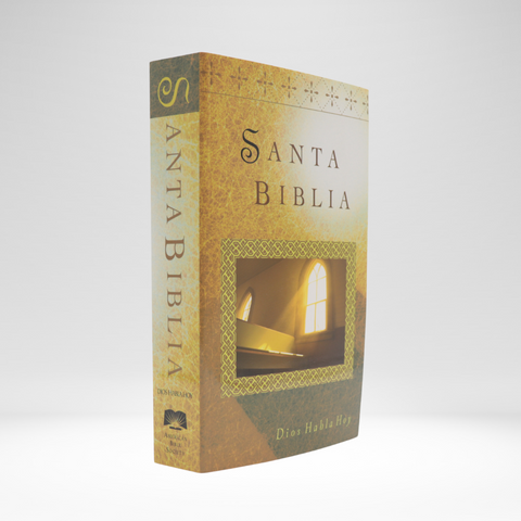 Spanish Bible with Helps VP
