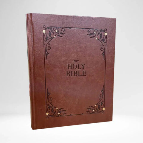 NIV Our Family Story Bible (Rich Brown)