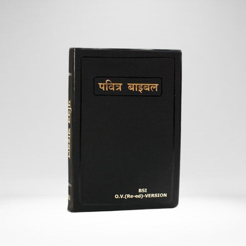 Hindi Bible