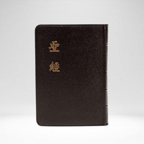 Chinese Bible CU version