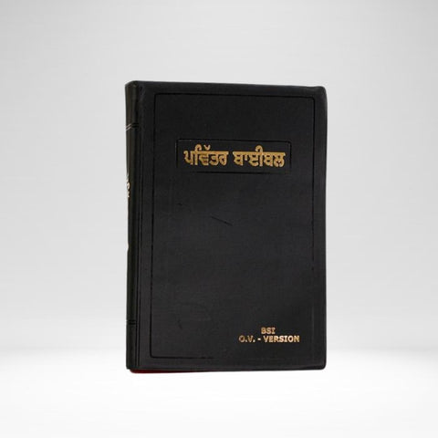 Punjabi Bible Old Version