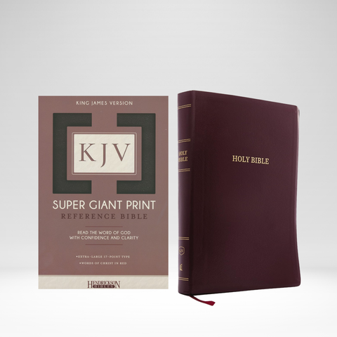 KJV SGP Ref Bible (NLSN 5844) IMI LTH Burgundy
