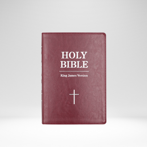 KJV Large Print Bible