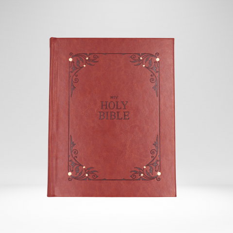 NIV Our Family Story Bible (Rich Brown)