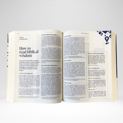 NRSVue Everyday Faith Bible