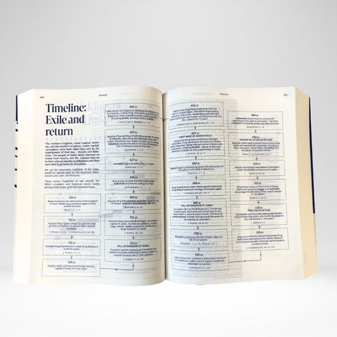 NRSVue Everyday Faith Bible