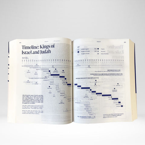 NRSVue Everyday Faith Bible