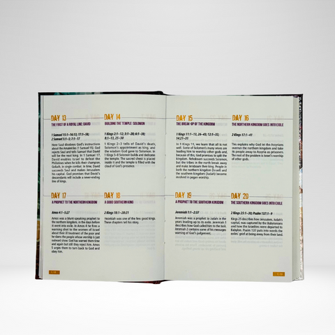 ESV Youth Bible