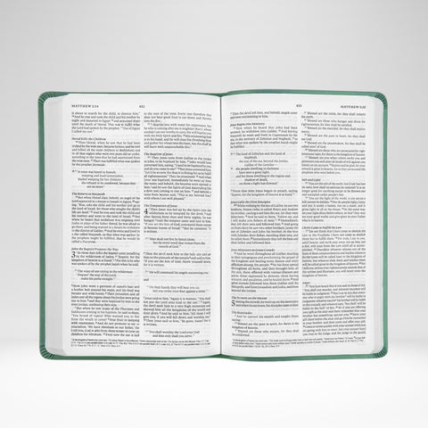 ESV Value Thinline Bible Ornament Teal