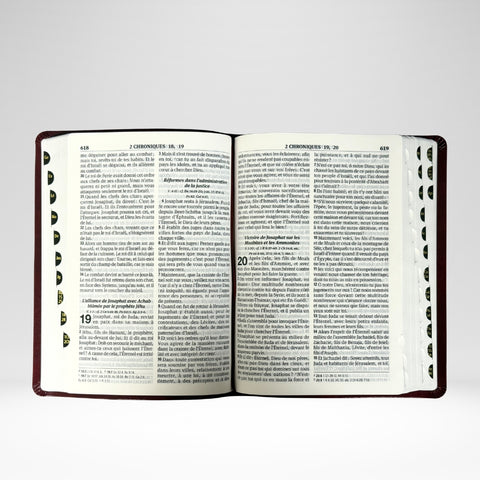 Bible Louis Segond 1910 caractères moyens