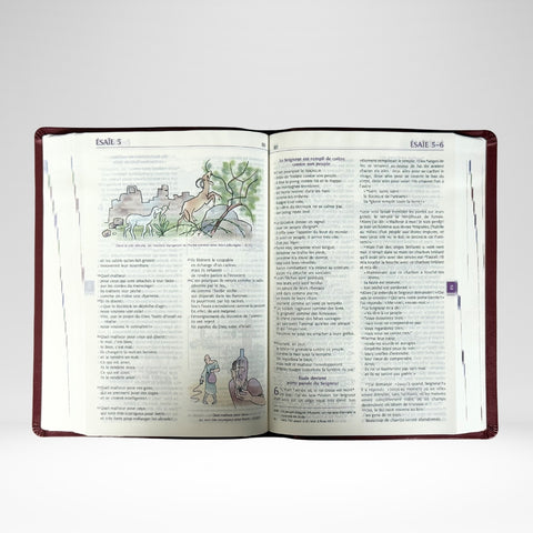 Bible Parole de Vie avec illustrations catholique