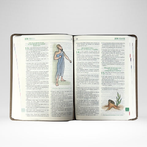 Bible Parole de Vie avec illustrations