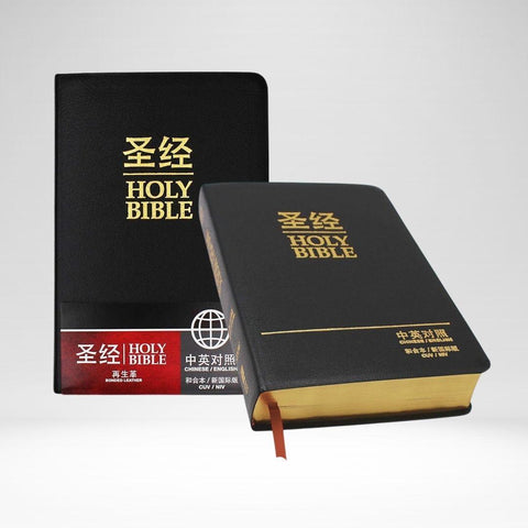 Union/NIV Chin-Eng (Simp) Bilingual Bible Bl Blk