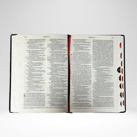 Bible indonésienne