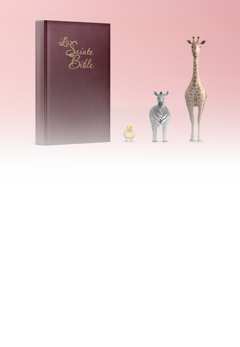 C'EST NOTRE VENTE ANNUELLE DE BIBLES EN GROS CARACTÈRES!