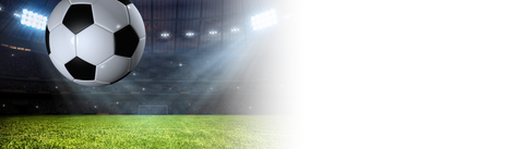 THE WORLD CUP