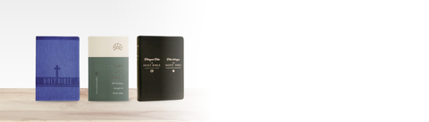 20 BIBLES FOR 20% OFF