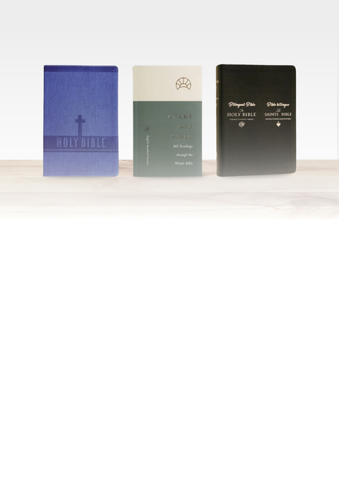 20 BIBLES FOR 20% OFF
