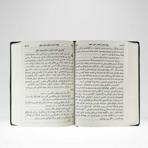 Nouveau Testament ouighour avec la Genèse et l'Exode (Version ouighoure moderne) / Muqeddes Kitab - Injil, Tewrattin Tallanmilar (HZUT)