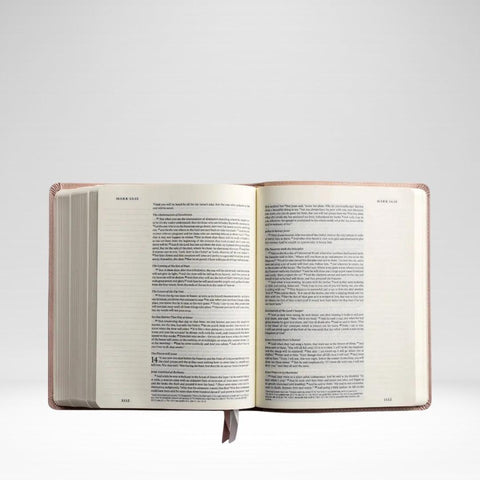NLT Notetaking Bible Shiloh Theme
