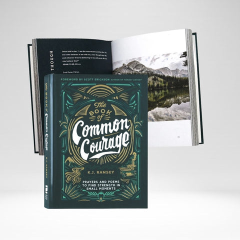 The Book Of Common Courage
