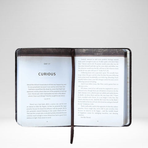 The Chosen Book 4: 40 Days With Jesus