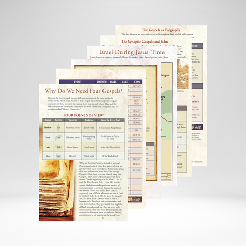 Gospels Side By Side Pamphlet (Rose)