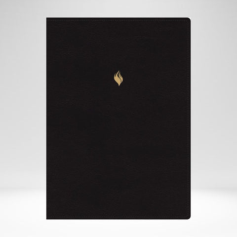 RVR 1960 Biblia De Estudio De La Vida Plena, Ed. Clasica, Thumb Index Zipper Black Leathersoft